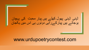 Read more about the article Urdu Poetry Contest Mohabat Entry No 6
