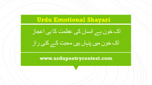 Read more about the article Urdu Emotional Shayari