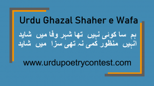 Read more about the article Urdu Ghazal Shaher e Wafa