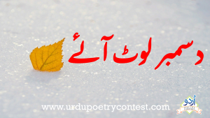 Read more about the article Urdu Nazam December lout aye