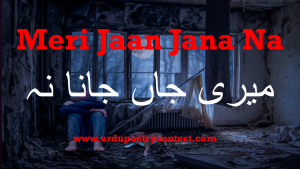 Read more about the article Urdu Poetry Meri Jaan Jana Na
