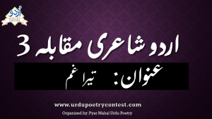 Read more about the article Urdu Shayari Competition No 3