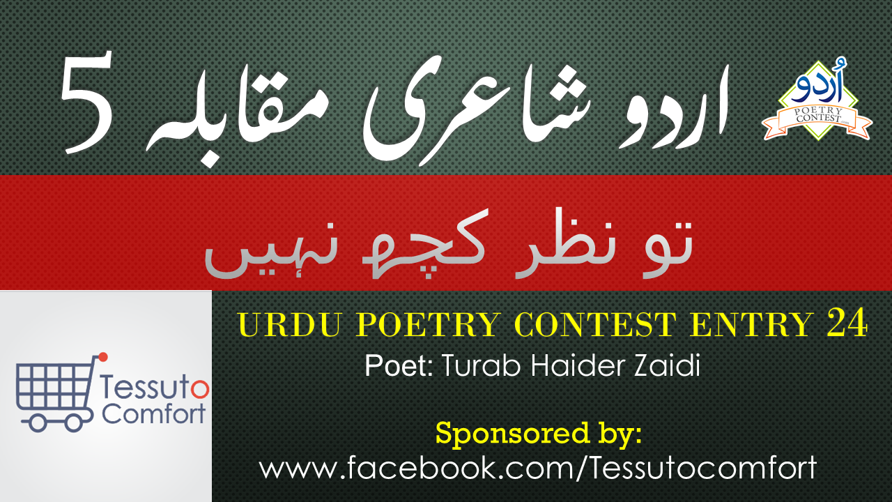 Read more about the article To Nazar Kuch Nahi by Turab Haider Zaidi