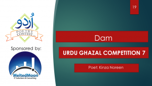 Read more about the article Dam by Kinza Noreen