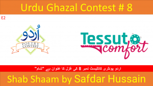 Read more about the article Shab Shaam by Safdar Hussain